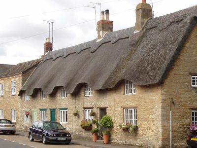 Podington